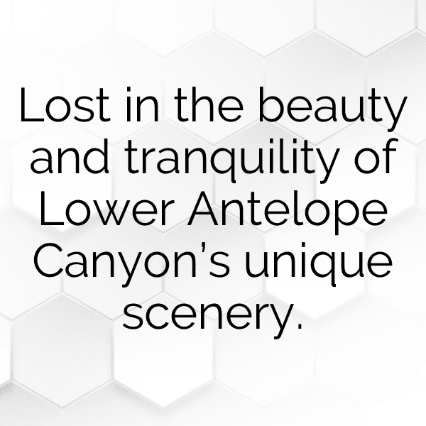 Antelope Captions Image For Instagram-ODcDFb