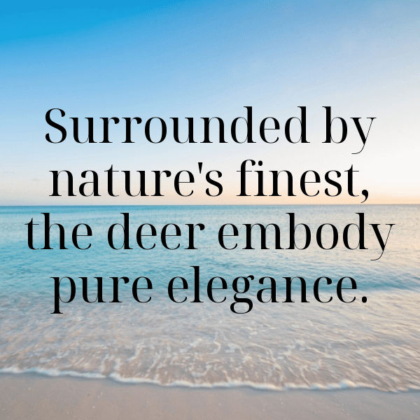 Antelope Captions Image For Instagram-okvkO1