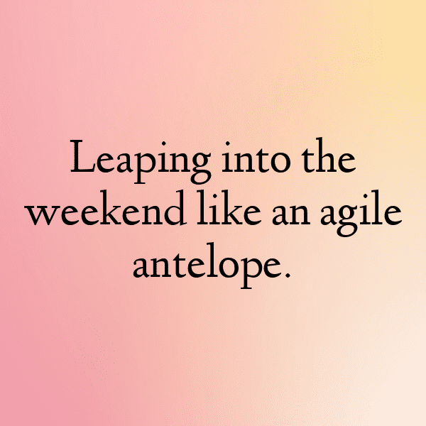 Antelope Captions Image For Instagram-pekMuB