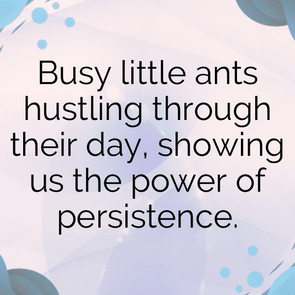 Antelope Captions Image For Instagram-wduxjR