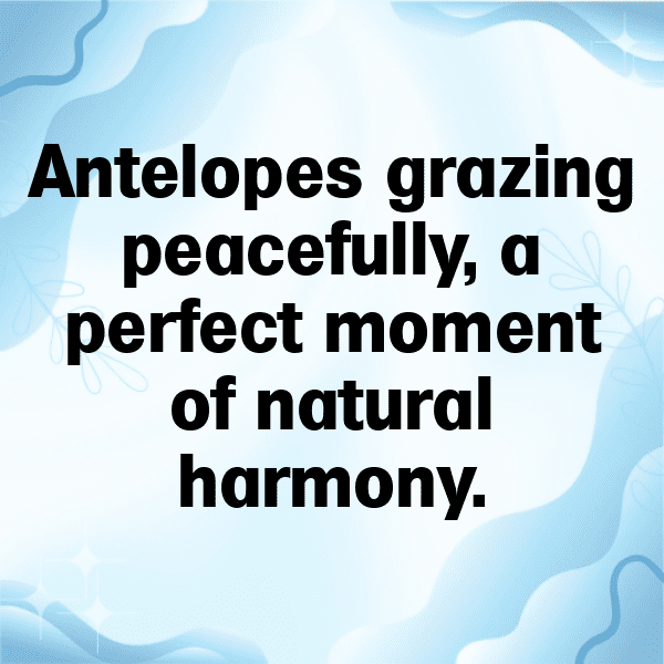 Antelope Captions Photo For Instagram-6yzBK8