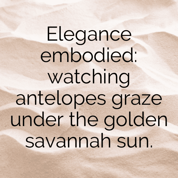 Antelope Captions Photo For Instagram-8PFTcm