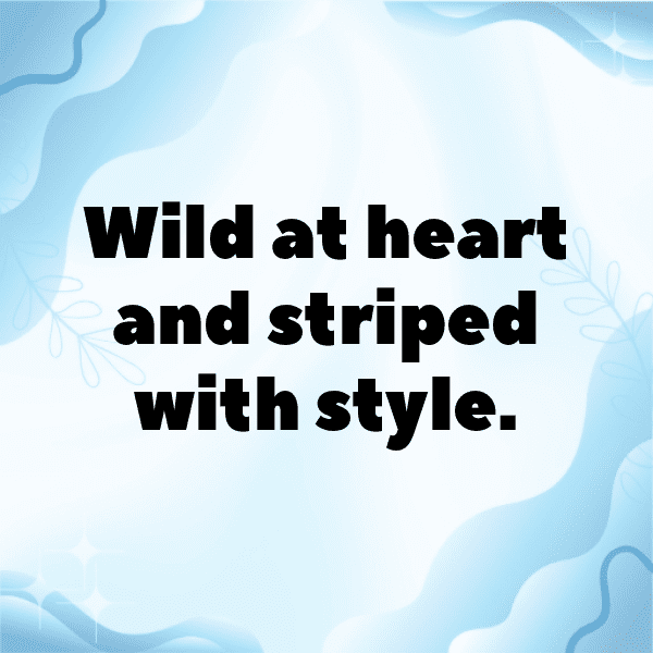 Antelope Captions Photo For Instagram-jU84AS