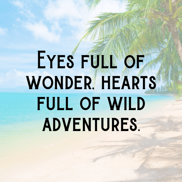 Antelope Captions Photo For Instagram-vyX1Xq