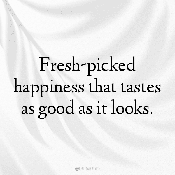 Apricot Captions Image For Instagram-WeJAtP