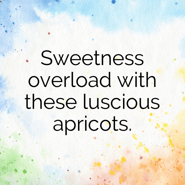 Apricot Captions Photo For Instagram-PKiufl