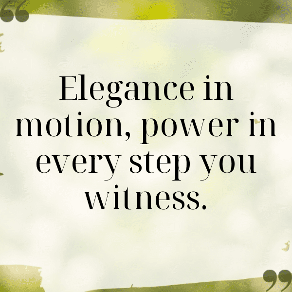 Archery Captions Image for Instagram-OYPz34