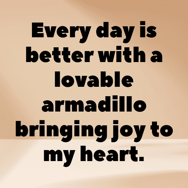 Armadillo Captions Image For Instagram-69PP09