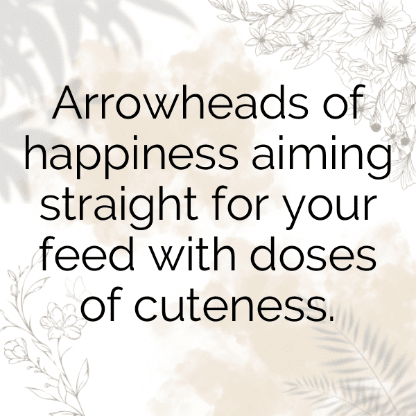 Arrowhead Captions Image For Instagram-tlMtib