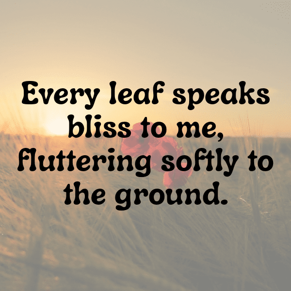 Arrowhead Captions Image For Instagram-ZQmosR