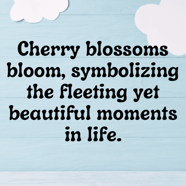 Arrowhead Captions Photo For Instagram-K3am8y