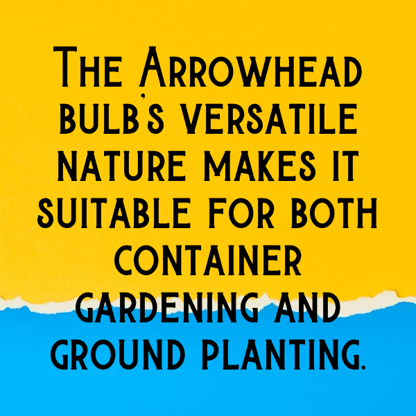 Arrowhead Captions Photo For Instagram-MVYWLH