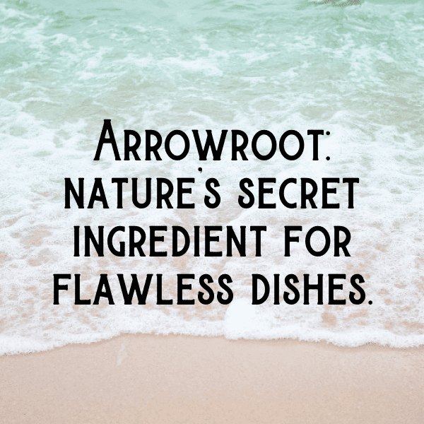 Arrowroot Captions Image For Instagram-HP50n1