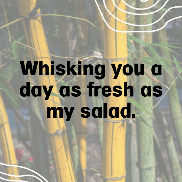 Arugula Captions Image For Instagram-K3jJ6S