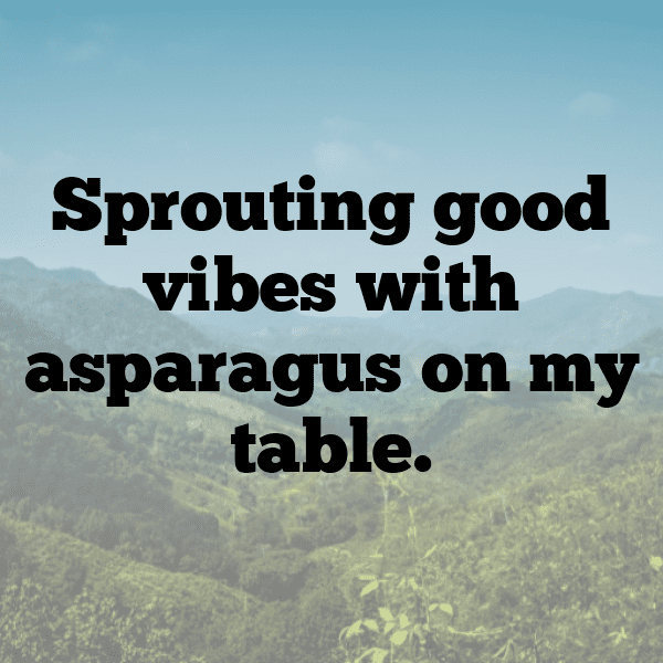 Asparagus Captions Image For Instagram-91waLt