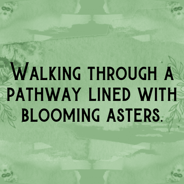 Aster Captions Photo For Instagram-2cFawy