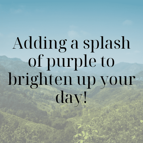 Aubergine Captions Photo For Instagram-6fH9hg