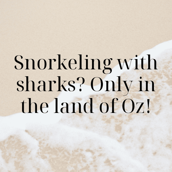 Australia Captions Image For Instagram-f8A7yn