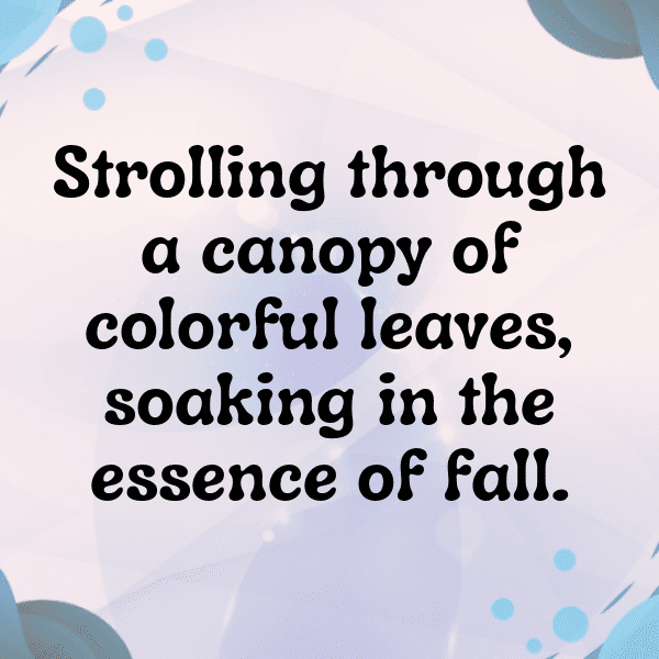 Autumn Leaves Captions Image for Instagram-9Sf0Zu