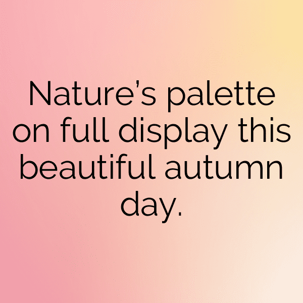 Autumn Leaves Captions Image for Instagram-cvIEkh