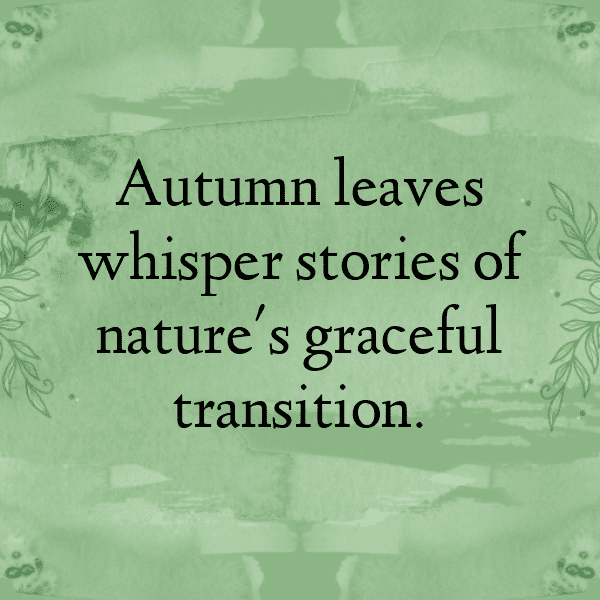 Autumn Leaves Captions Image for Instagram-czs6AI