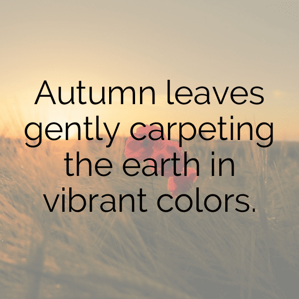 Autumn Leaves Captions Image for Instagram-wRtITa