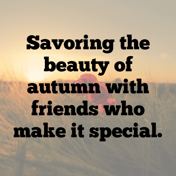 Autumn Leaves Captions Photo for Instagram-VGgie8