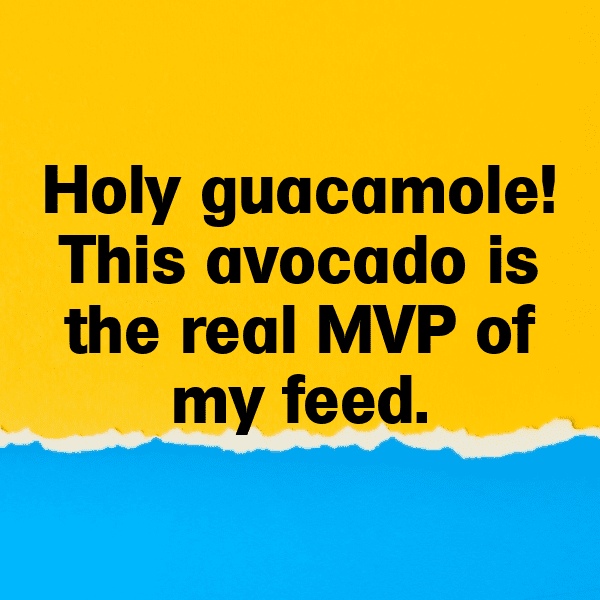 Avocado Captions Image For Instagram-1Oon4b