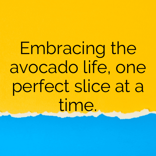 Avocado Captions Image For Instagram-b8piTo