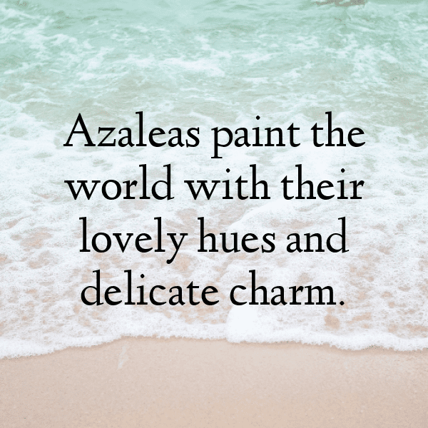 Azalea Captions Image For Instagram-Bcc5Vi