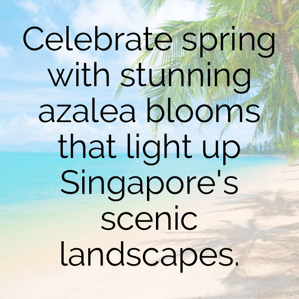 Azalea Captions Image For Instagram-mpvF6t