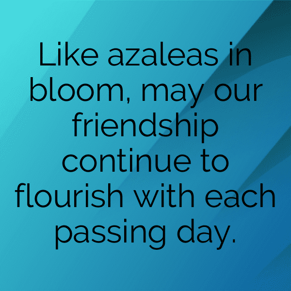 Azalea Captions Image For Instagram-n3mxkl