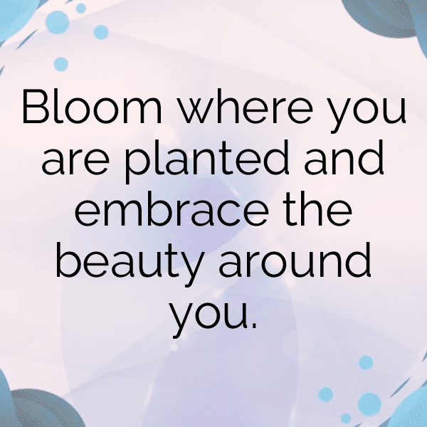 Azalea Captions Image For Instagram-zYJTqT