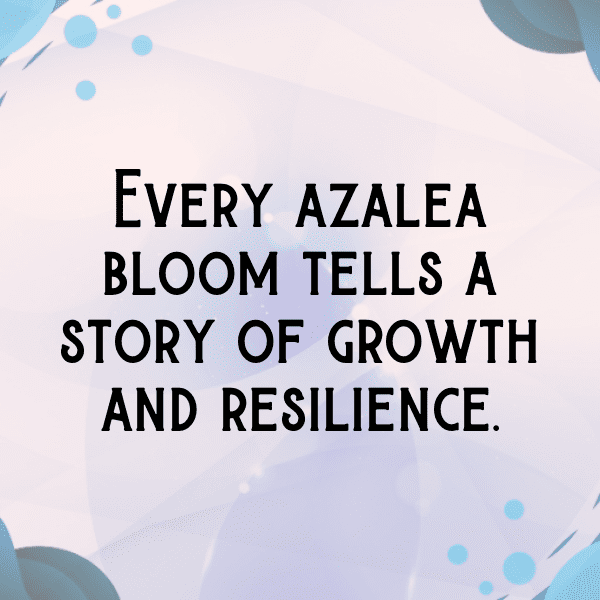 Azalea Captions Photo For Instagram-eG3lt6