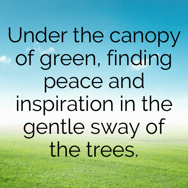 Azalea Captions Photo For Instagram-HJ2Gd1