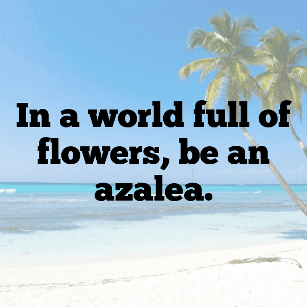 Azalea Captions Photo For Instagram-PIbm2B