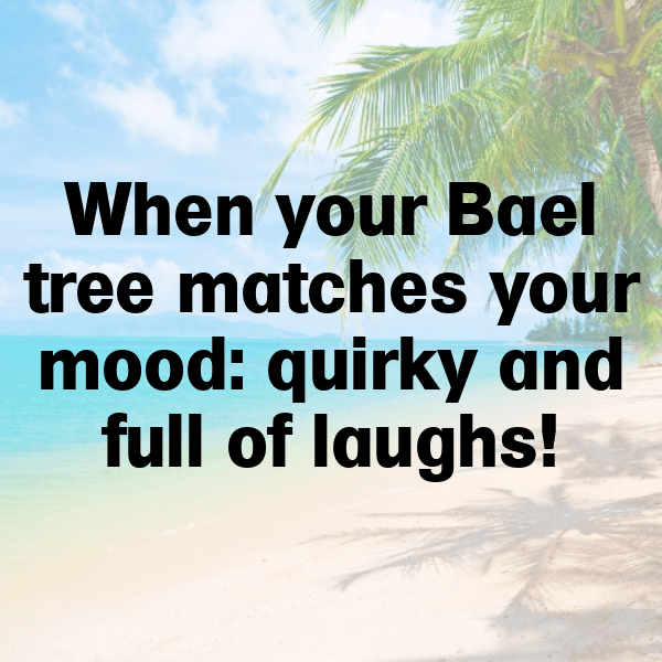 Bael Captions Image For Instagram-PymDzT