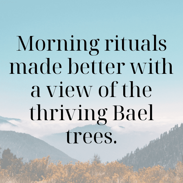 Bael Captions Photo For Instagram-21vDDL