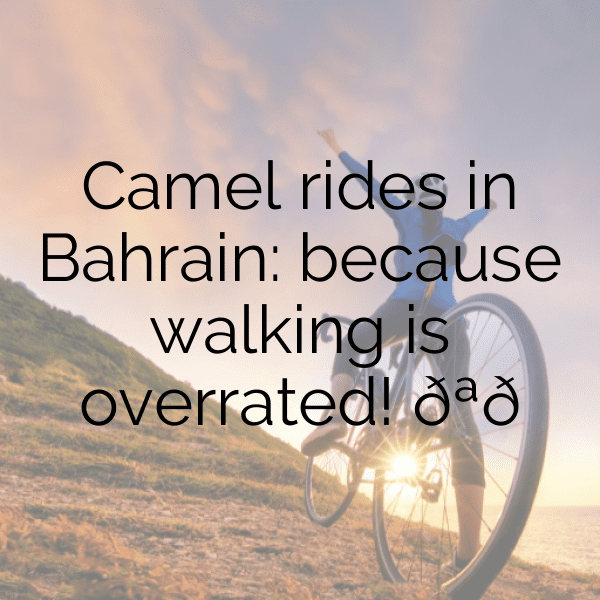 Bahrain Captions Photo For Instagram-qsd1go