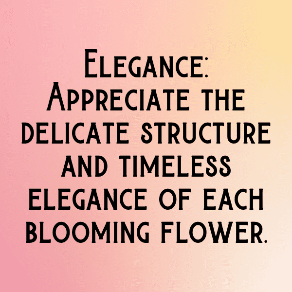 Balloon Flower Captions Image For Instagram-GtCVTc