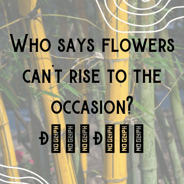 Balloon Flower Captions Image For Instagram-K4F0Kl