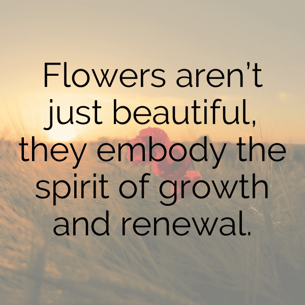 Balloon Flower Captions Photo For Instagram-IZJMBG