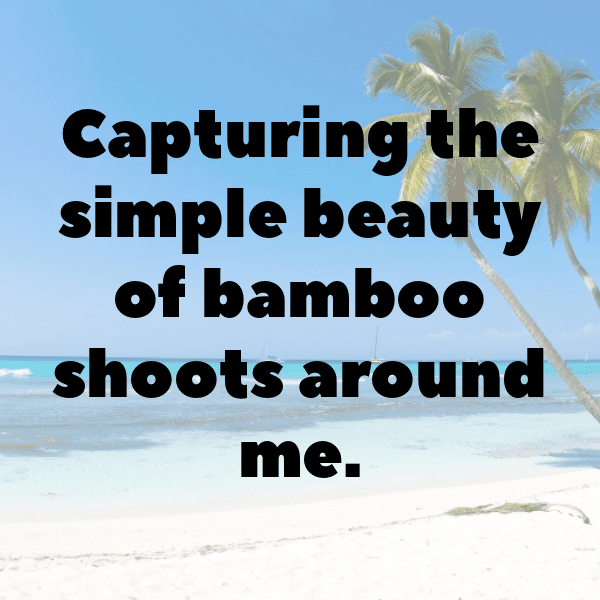 Bamboo Shoots Captions Image For Instagram-DZ7UVb