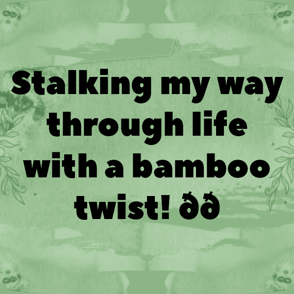 Bamboo Shoots Captions Image For Instagram-qpszgN
