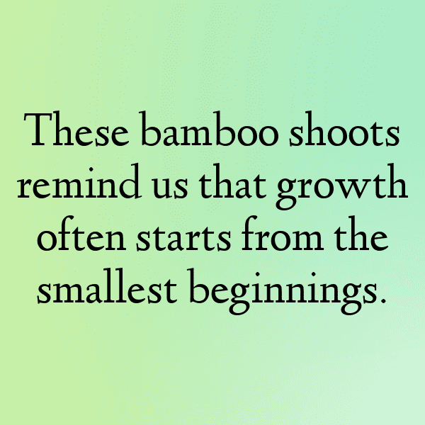 Bamboo Shoots Captions Photo For Instagram-4IpoE8