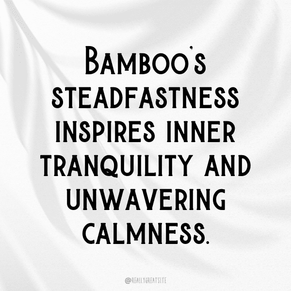 Bamboo Shoots Captions Photo For Instagram-fD7Yxv