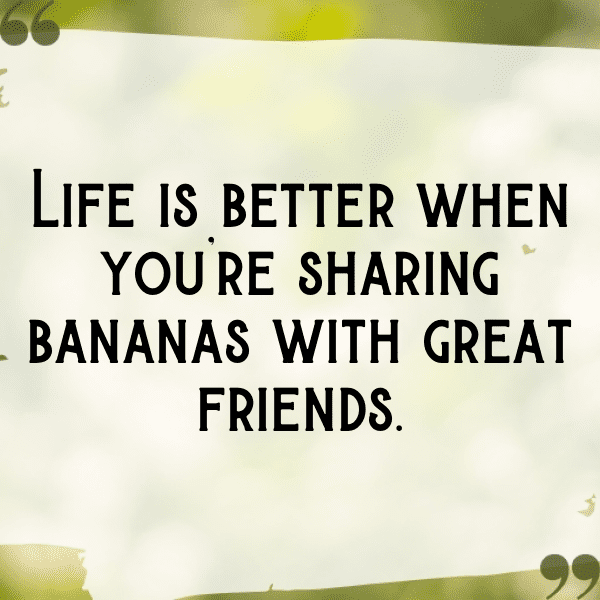 Banana Captions Image For Instagram-6WUp2J