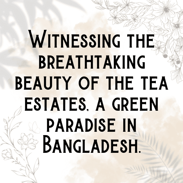 Bangladesh Captions Image For Instagram-EaF51g