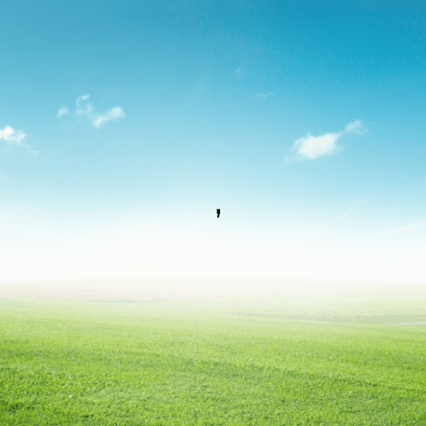 Bangladesh Captions Image For Instagram-hm7kzs