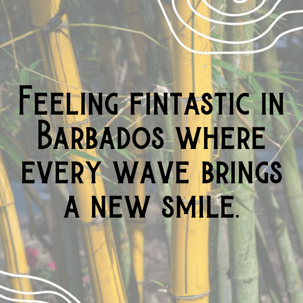 Barbados Captions Image For Instagram-LSbjSH